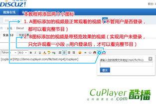 最酷的爆料视频下载网页,下载网页背后的秘密大公开